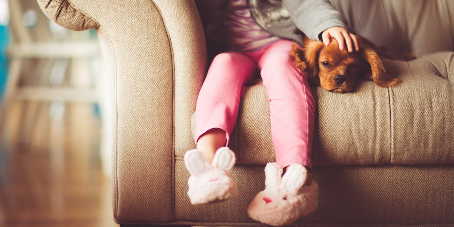 photo-1467321309980-a57856cd25f7